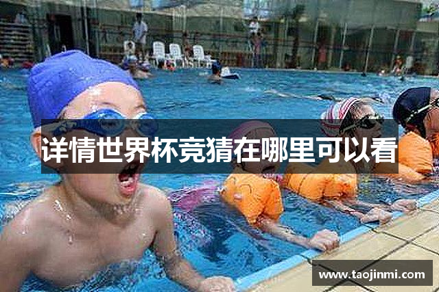 详情世界杯竞猜在哪里可以看